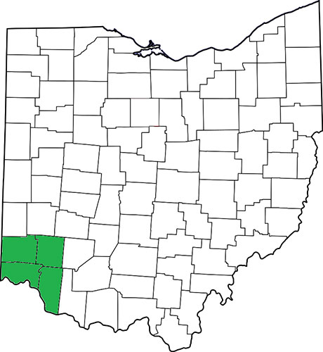 Cincinnati Area Map